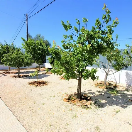 Vakantiehuis Holiday Figueiral Silves